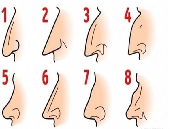 Tướng mũi đàn ông phú quý