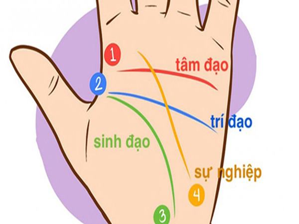 Quy tắc xem chỉ tay