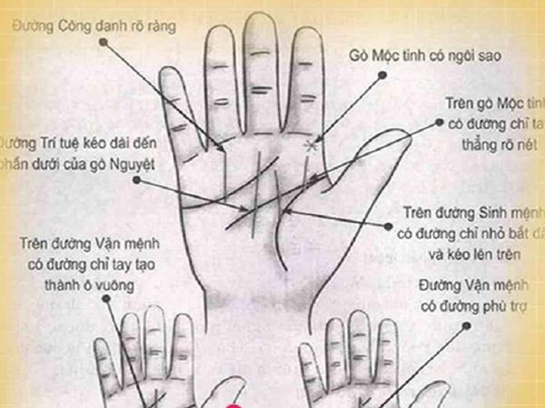 cách xem đường chỉ tay