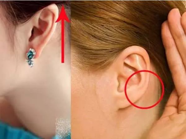 Tướng tai nhỏ tốt hay xấu