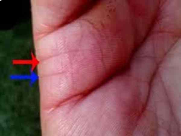 Dấu hiệu nhận biết đường chỉ tay phụ nữ 2 đời chồng