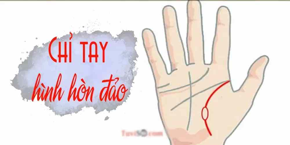 Chỉ Tay Hình Ốc Đảo Chỉ Tay Hình Ốc Đảo