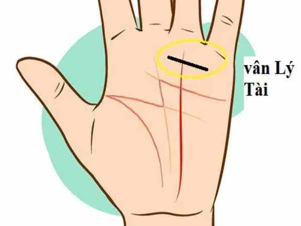 Trên ngón tay có vân tiền tài