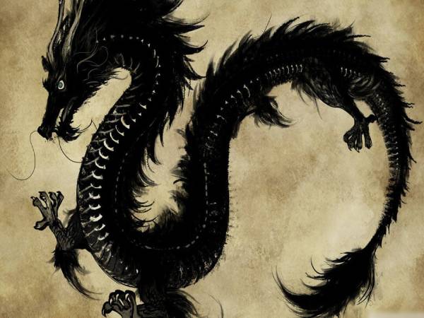 Mơ thấy rồng đen là điềm gì trong cuộc sống tương lai Mơ thấy rồng đen là điềm gì trong cuộc sống tương lai